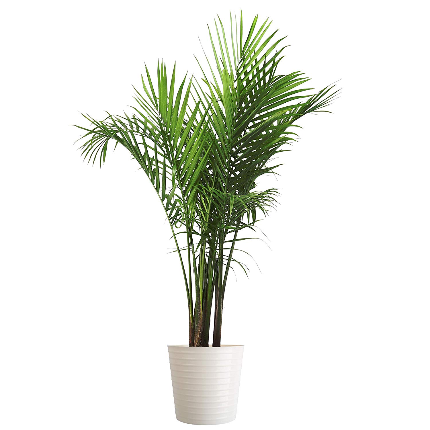 50 Best Artificial Plants Most Realistic fit for indoor Outdoor 