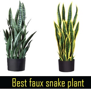 Best faux snake plant