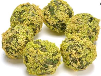 Preserved Moss Hanging Ball